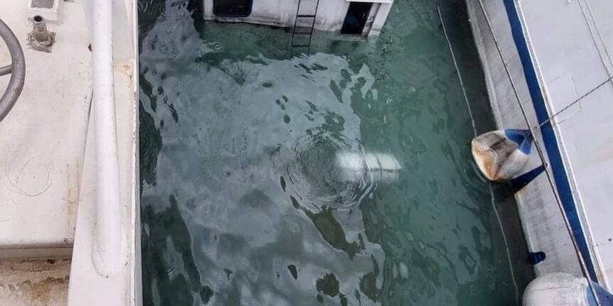 Screenshot_20221117_104242_Facebook